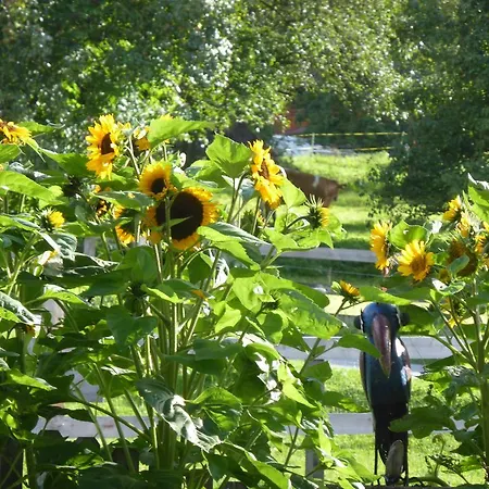 Haus Valder アパート ニーダーンジル