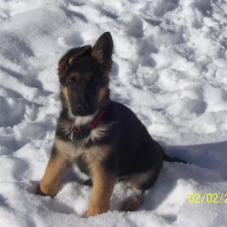 Apartment Haus Valder *