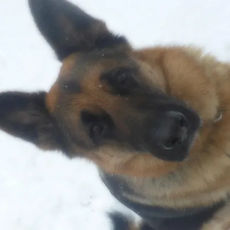 アパート Haus Valder *